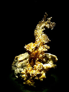 Gold